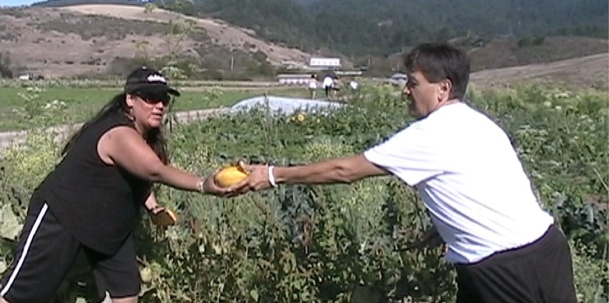 Native Americans Farm in Pescadero