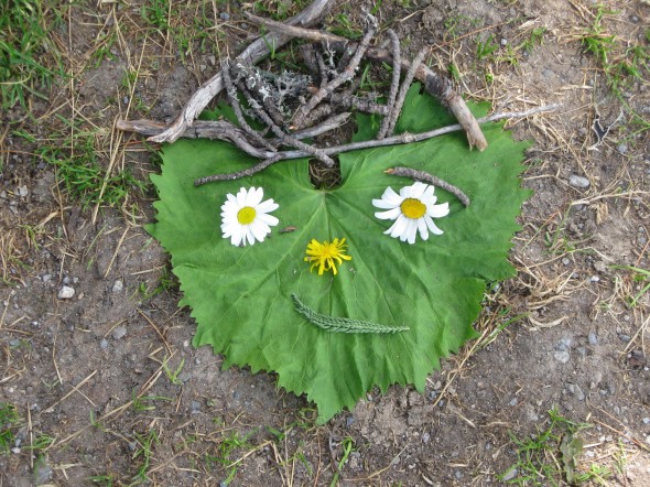 smiling face made from nature
