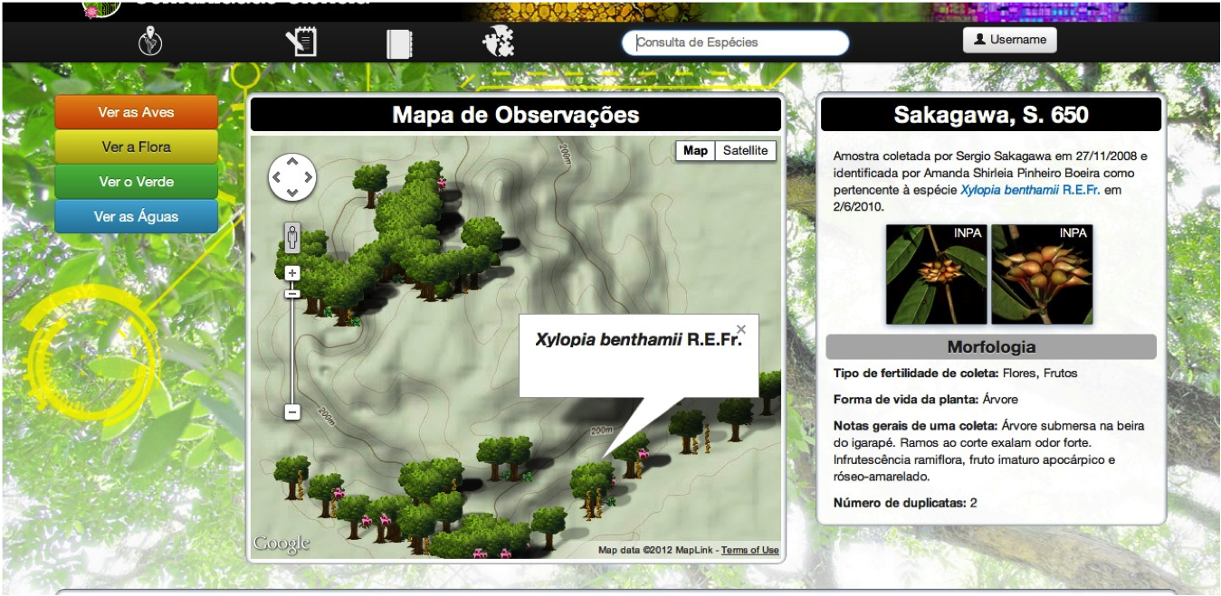 IBM Brazil Wikiflora App Screenshot