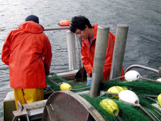 Loki Fish Co. setting nets