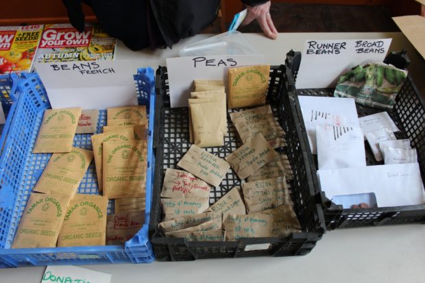 seed packets available at seed swap